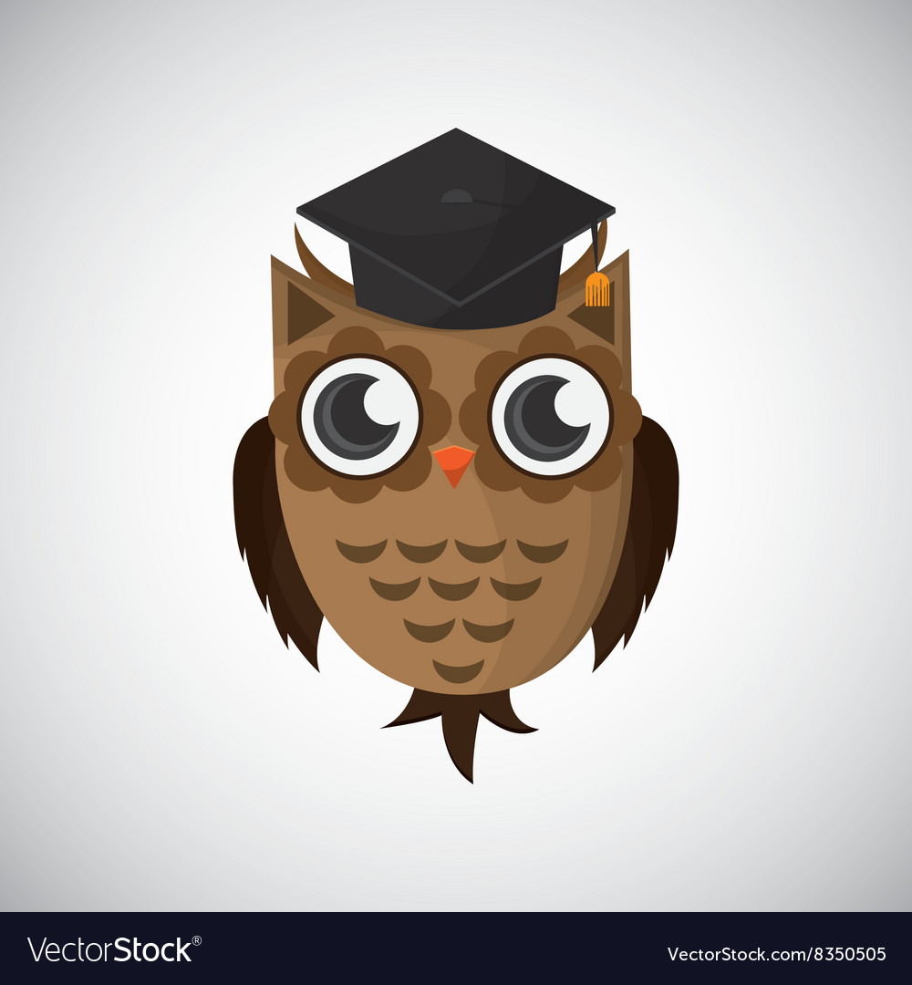 An owl graphic design Royalty Free Vector Image