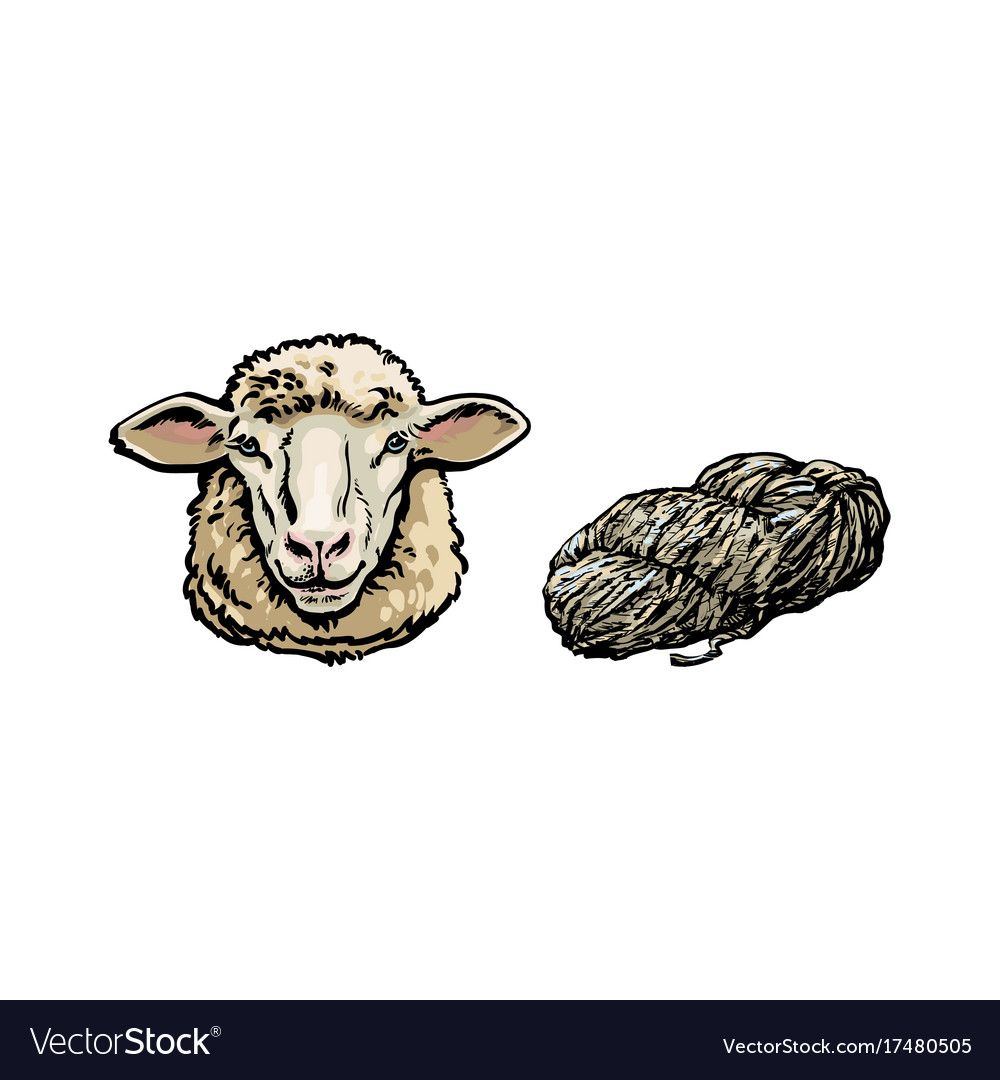 A Ball Of Thread A Handdrawn Sketch Style Doodle Winding Thread Into A  Sphere Handmade Thread Wool Yarn For Knitting Vector Simple Illustration  Stock Illustration  Download Image Now  iStock