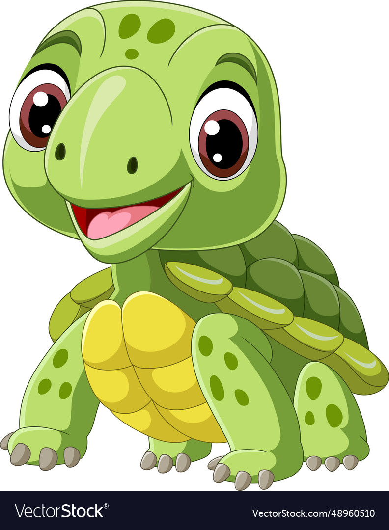 Cartoon Little Turtle On White Background Vector Image