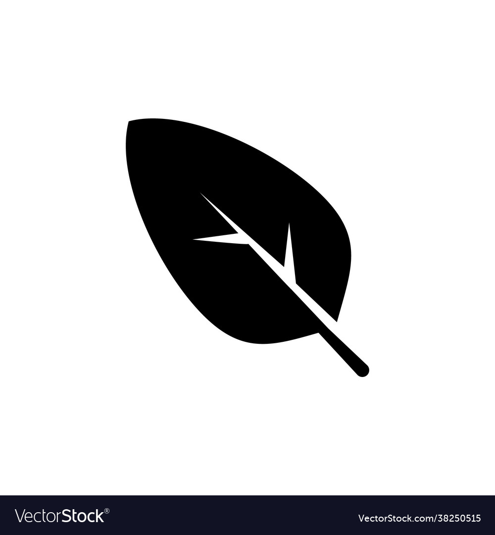 Graphic leaf icon Royalty Free Vector Image - VectorStock