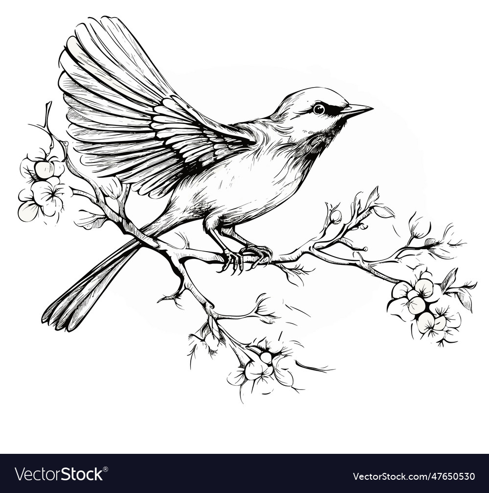 Bird Sitting On Blooming Japanese Quince Branch Vector Image