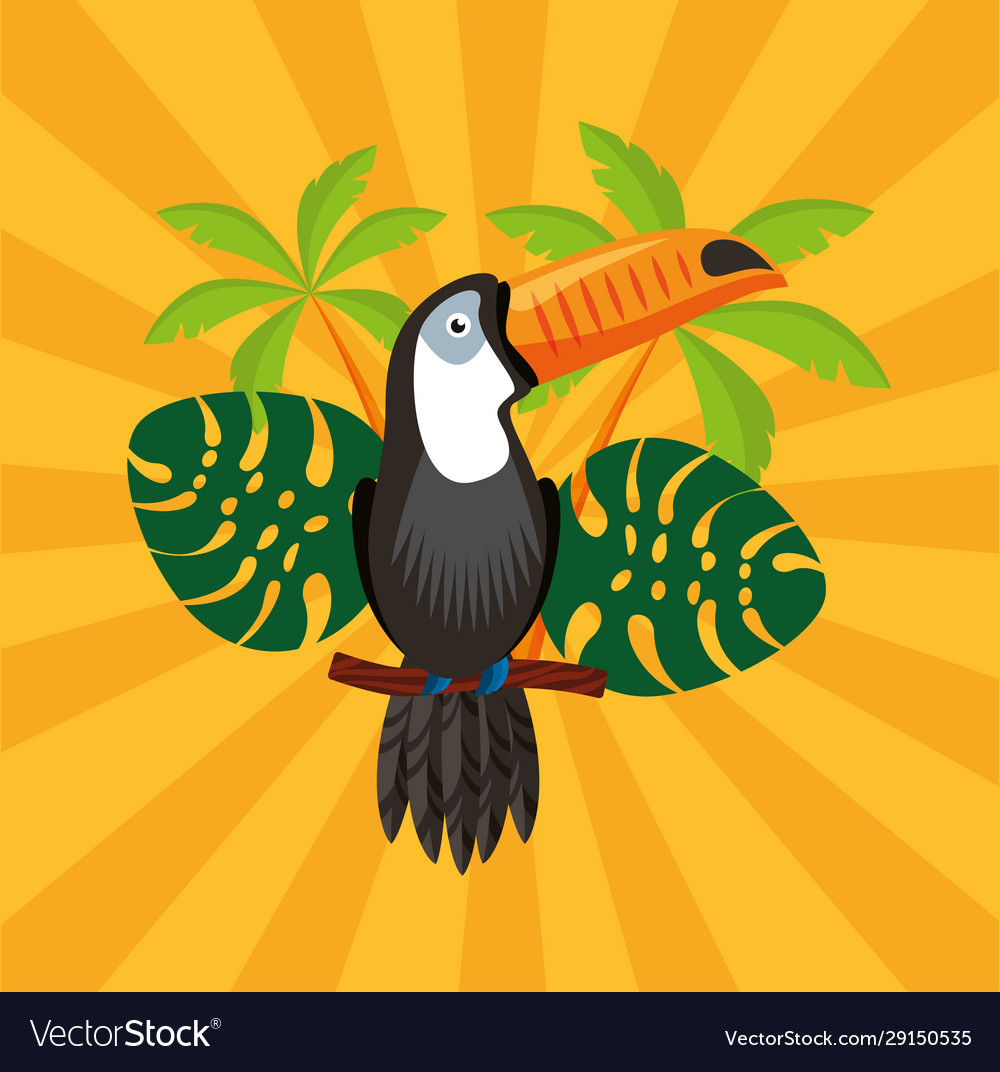 Canival rio brazilian celebration with toucan