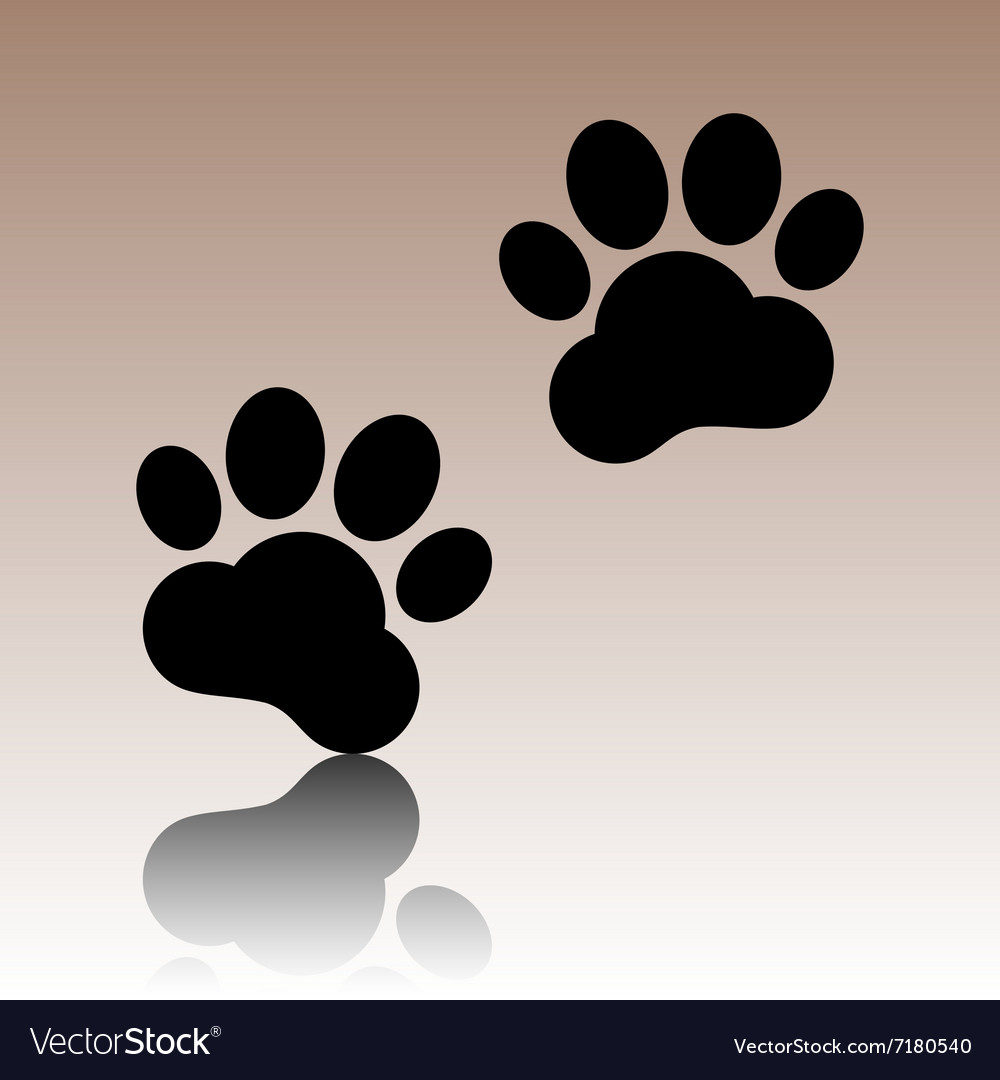 Animal tracks Royalty Free Vector Image - VectorStock