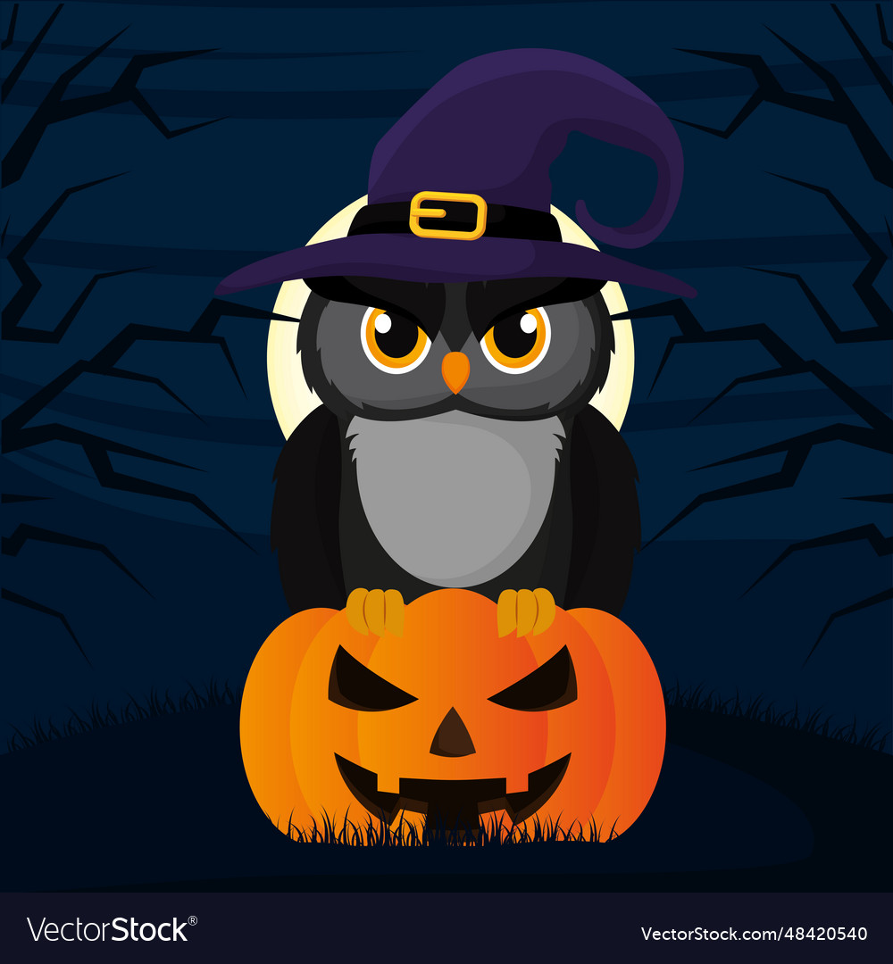 Owl with witch hat on a spooky pumpkin halloween Vector Image