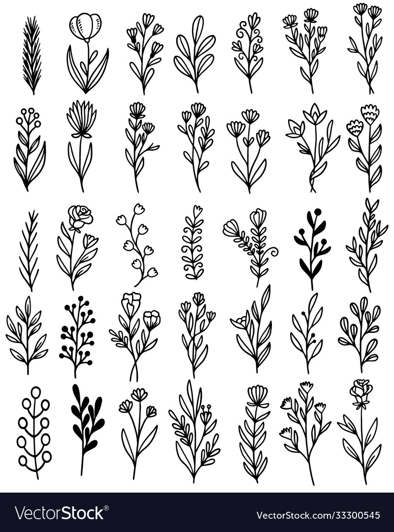 0111 hand drawn flowers doodle Royalty Free Vector Image