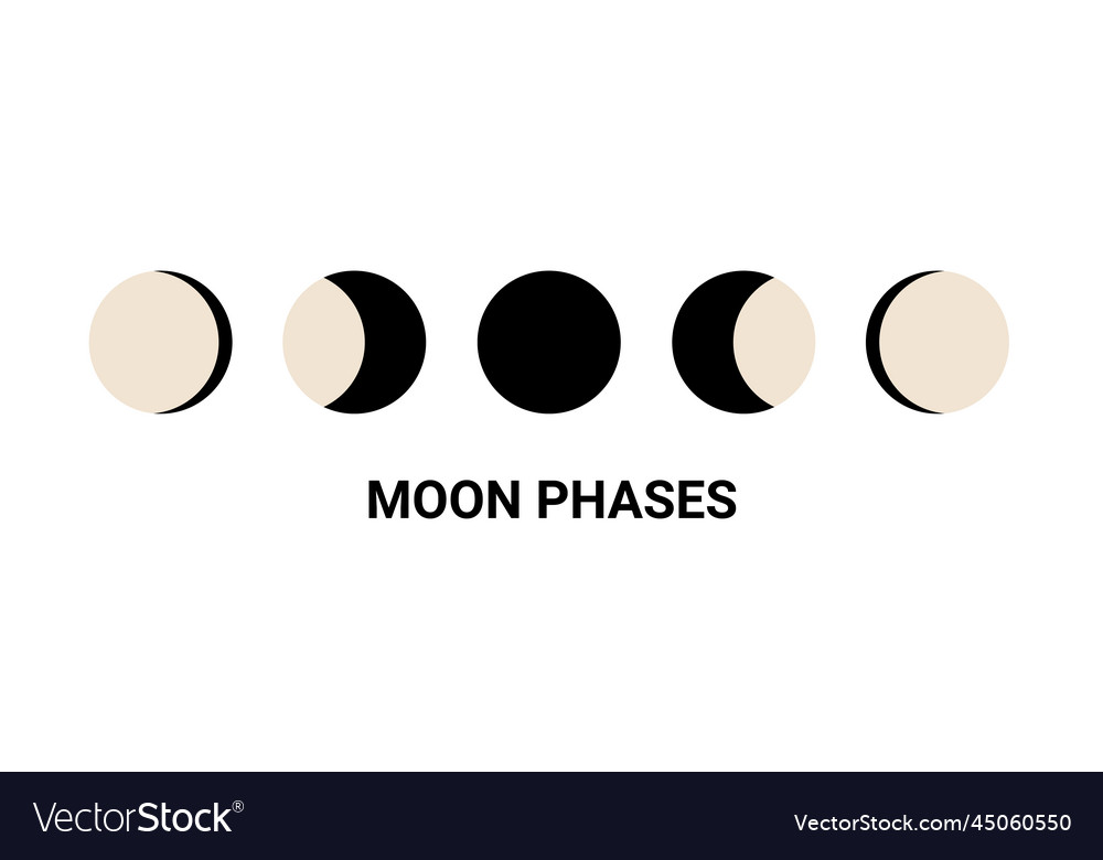 Moon phase crescent half cycle shape Royalty Free Vector