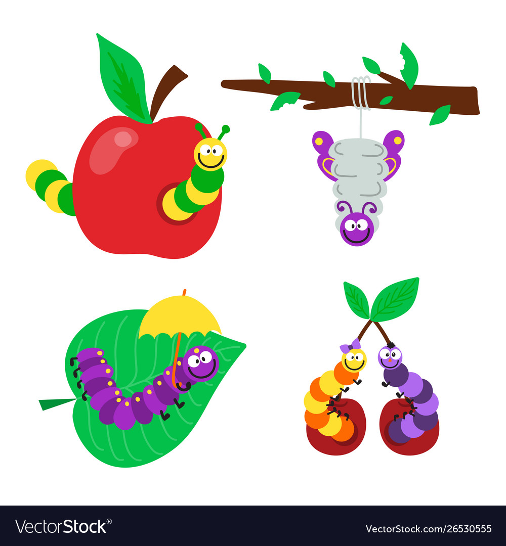 Cartoon caterpillar insect Royalty Free Vector Image