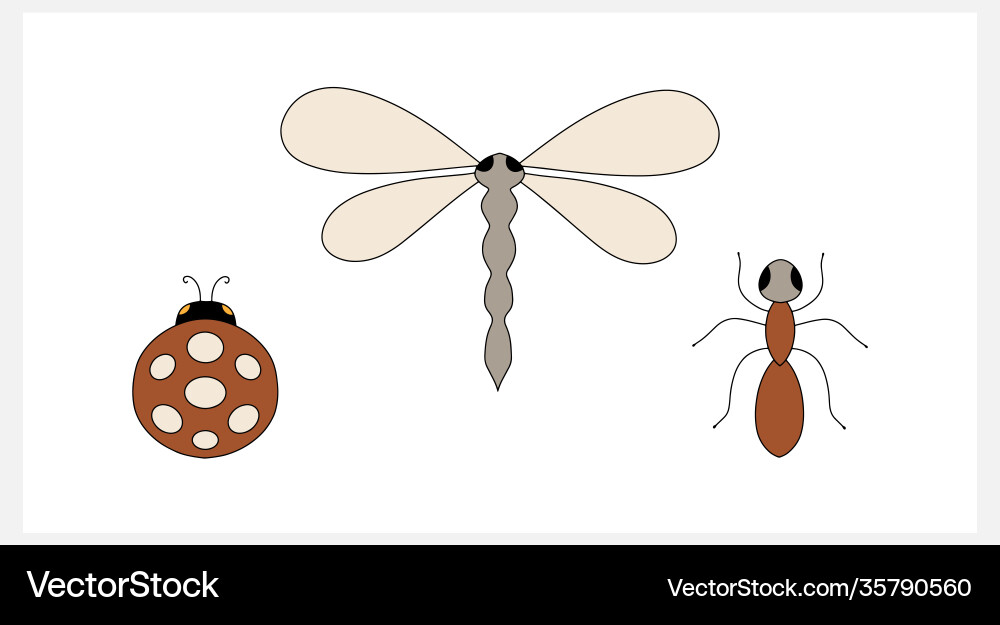 Doodle insect collection icon isolatednon white Vector Image