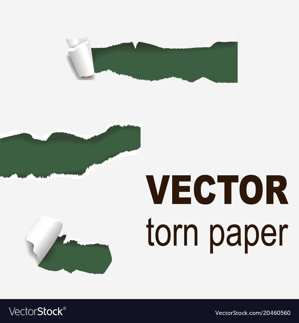 Torn edges paper hole lacerated ragged edge Vector Image
