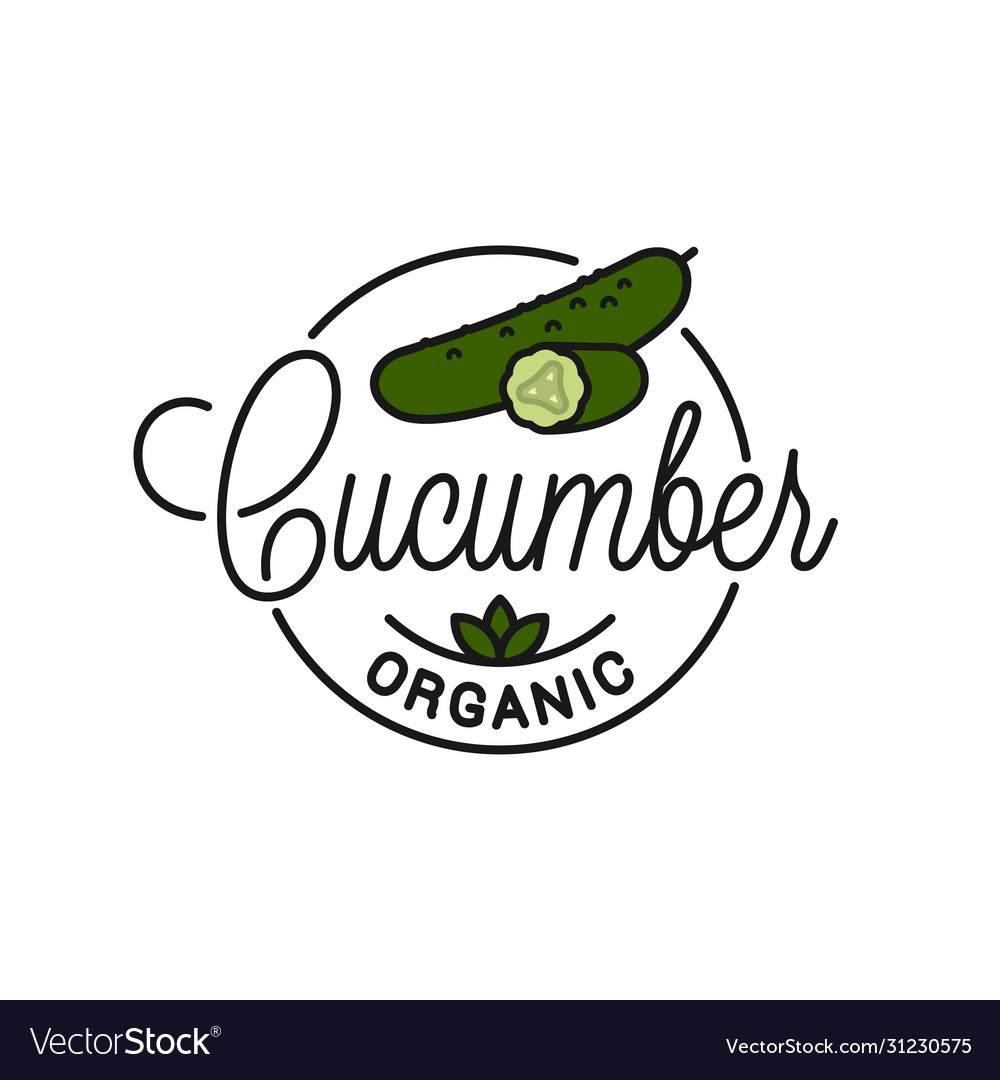 Cucumber vegetable logo round linear slice Vector Image