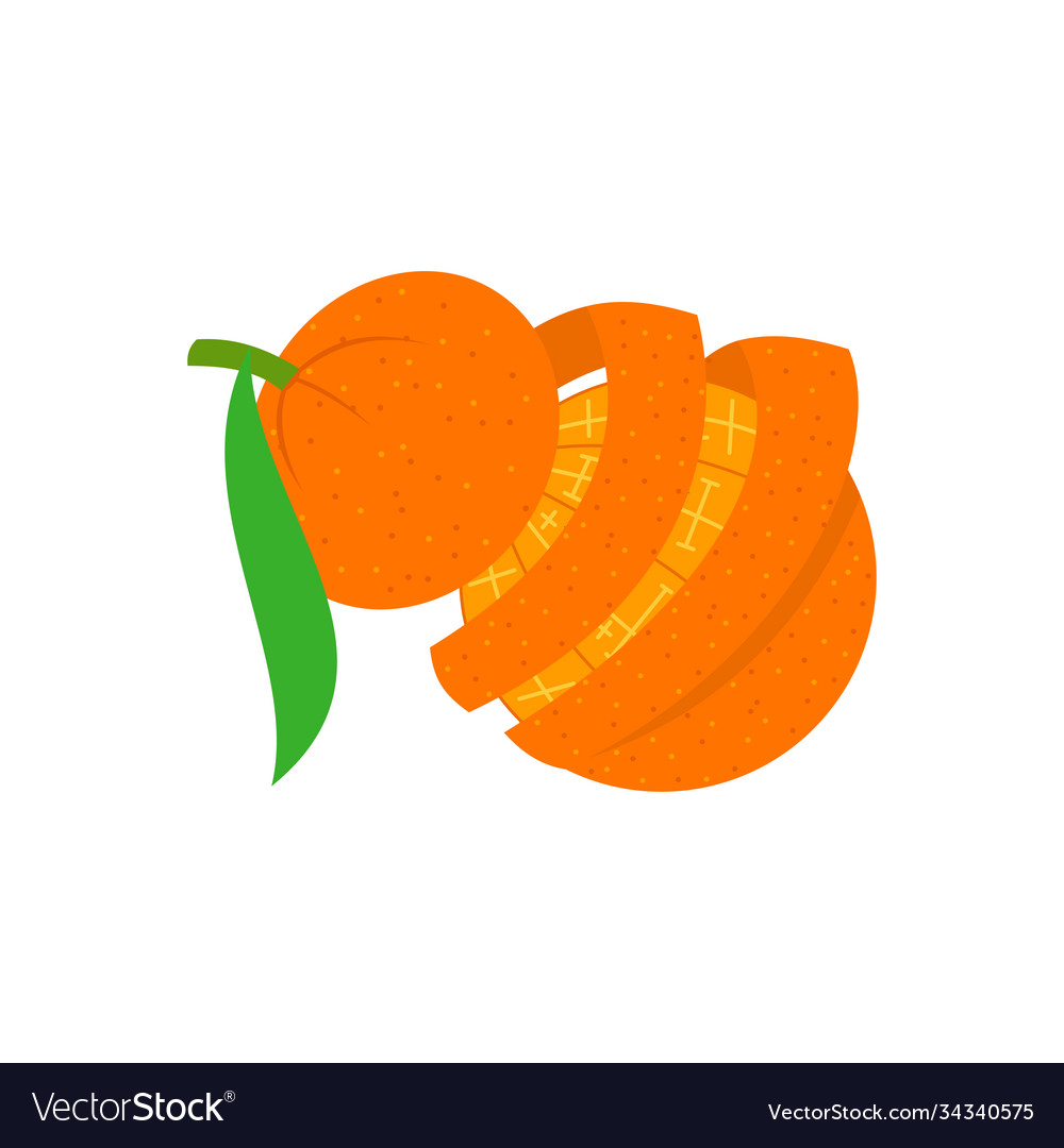 Orange peel design slice part Royalty Free Vector Image