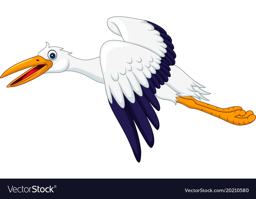 Cartoon Stork Flying Isolated On White Background Vector Image 8823