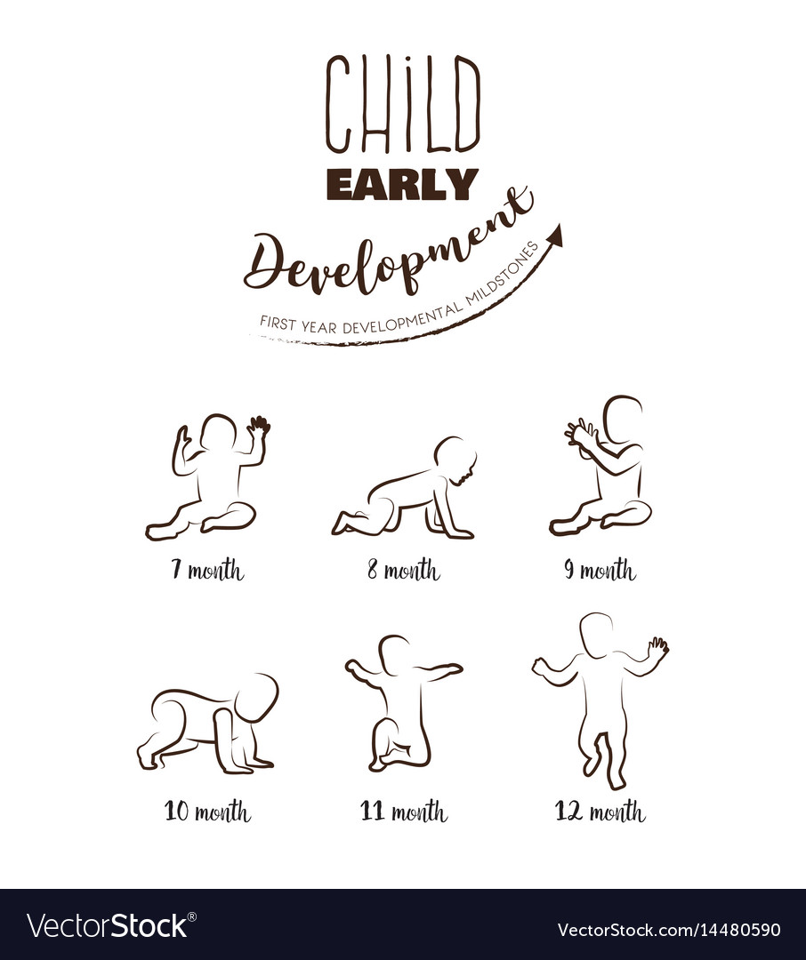 Baby development stages milestones first one year Vector Image