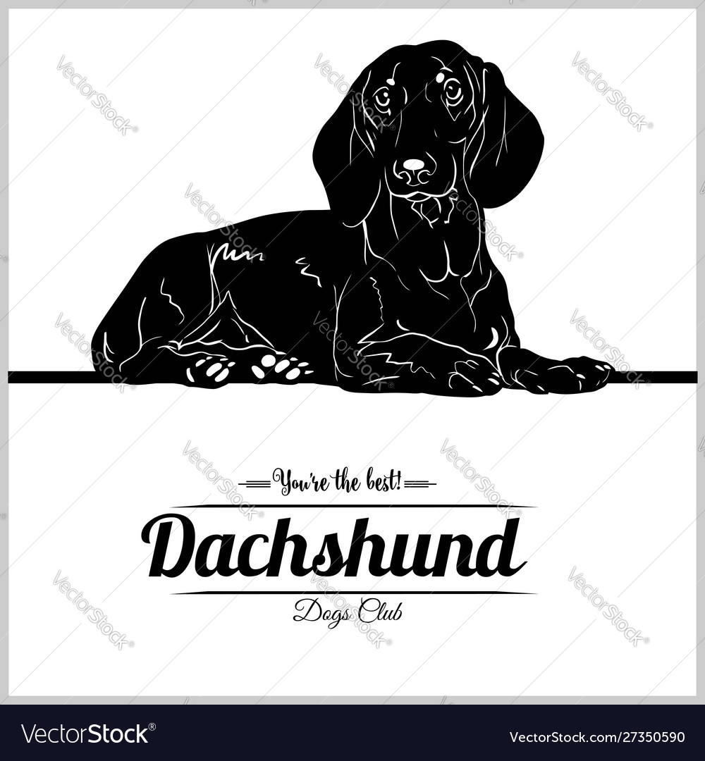 dachshund t shirts for dogs