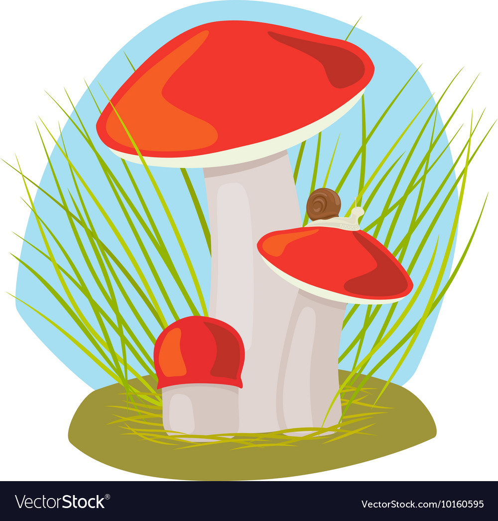 Forest Mushroom With Grass And Snail Royalty Free Vector