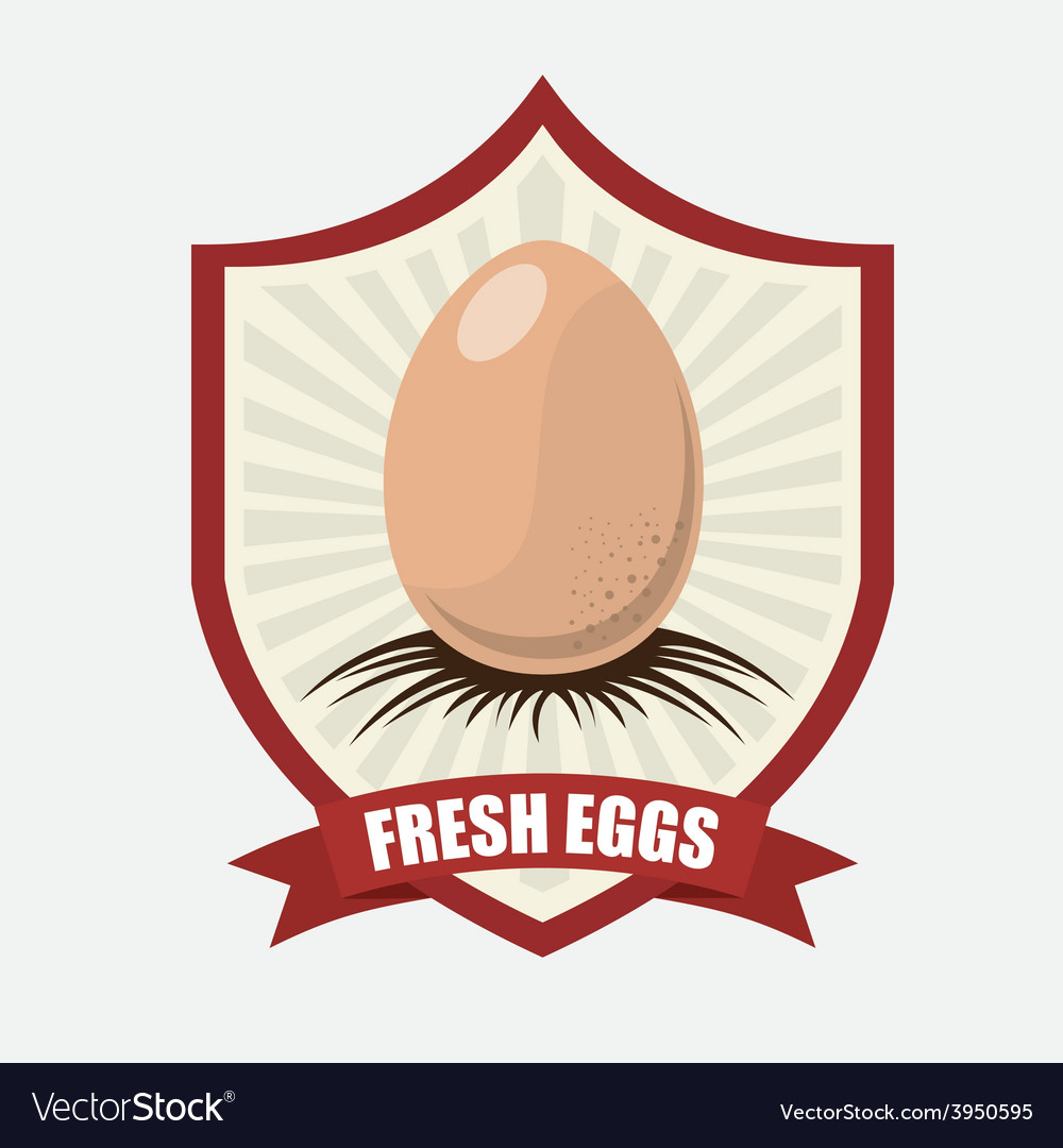 Fresh eggs Royalty Free Vector Image - VectorStock