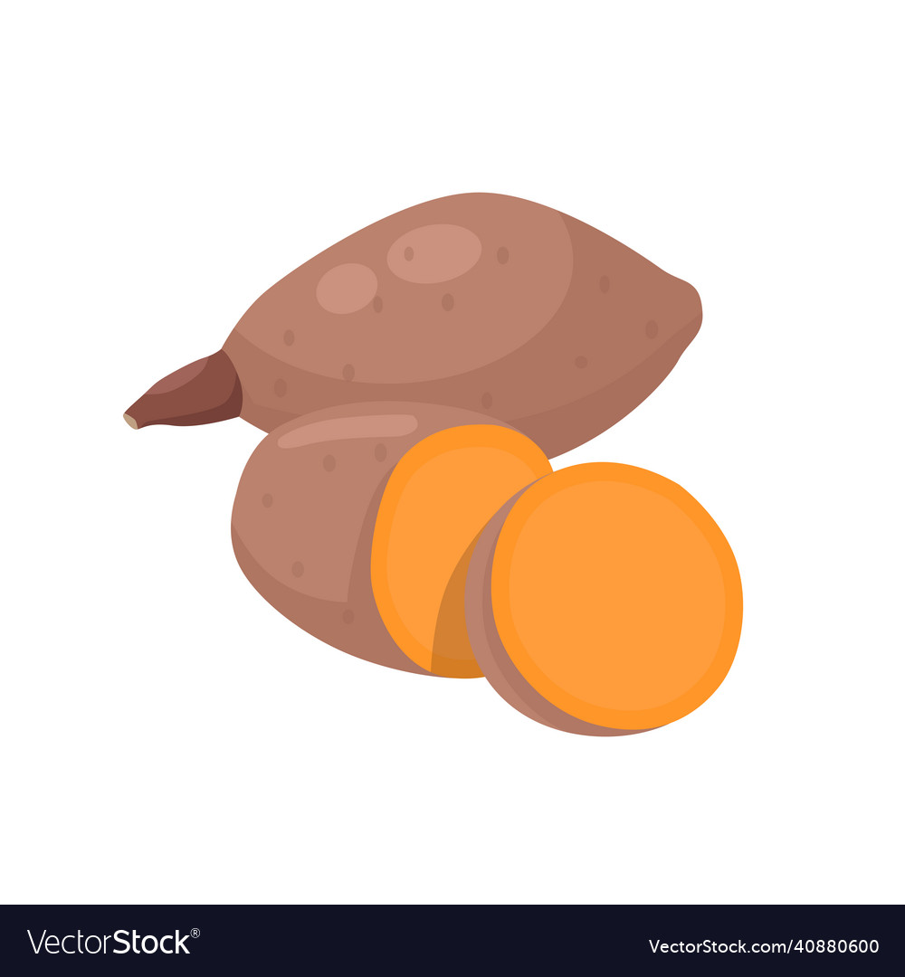 Flat of yam isolated on white background Vector Image