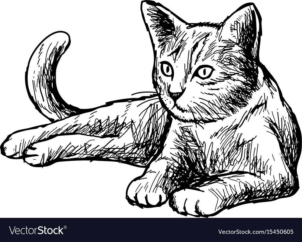 Freehand sketch of little cat Royalty Free Vector Image