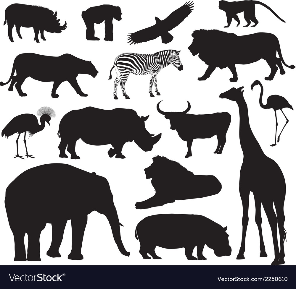 Free Free Wildlife Svg 560 SVG PNG EPS DXF File