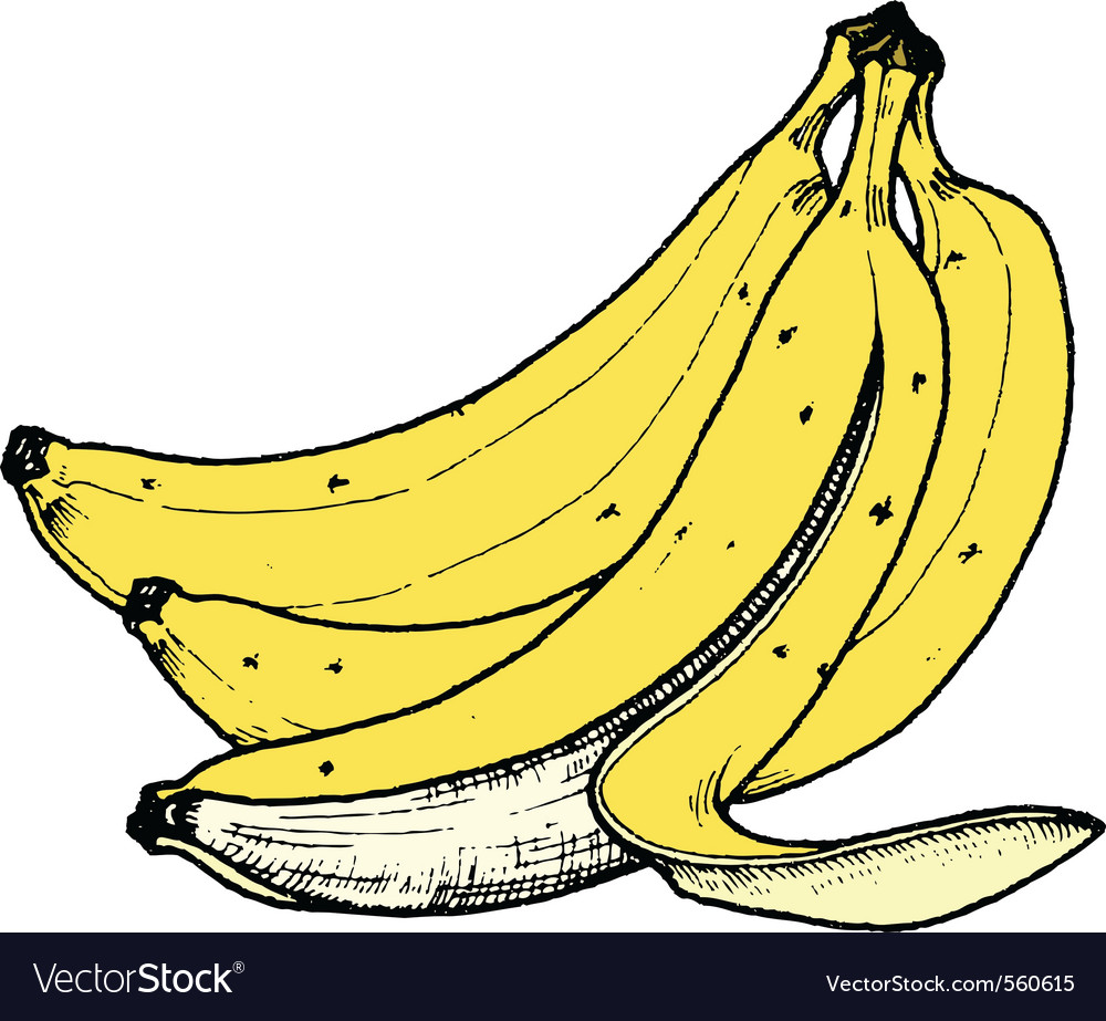 Bananas Royalty Free Vector Image - VectorStock