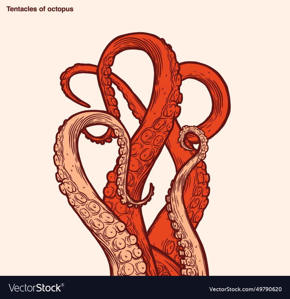 Red octopus tentacles Royalty Free Vector Image