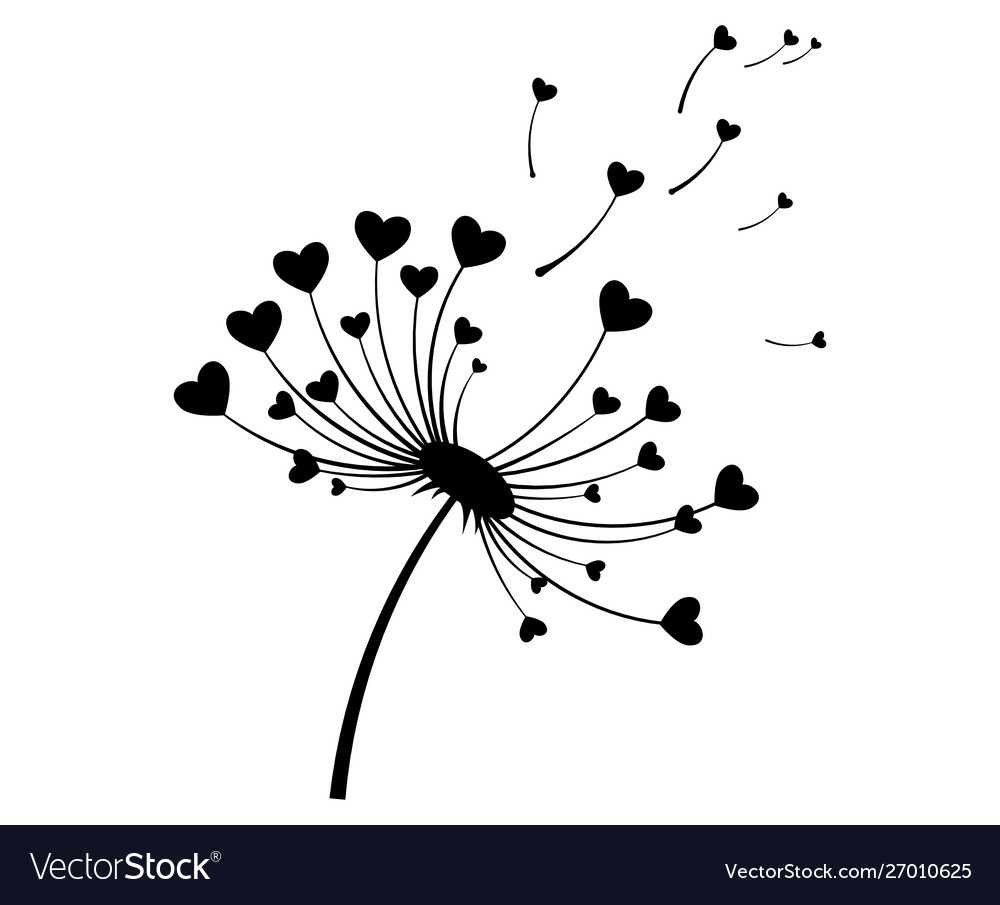Dandelion with hearts black and white vector image Dandelion with hearts black and white