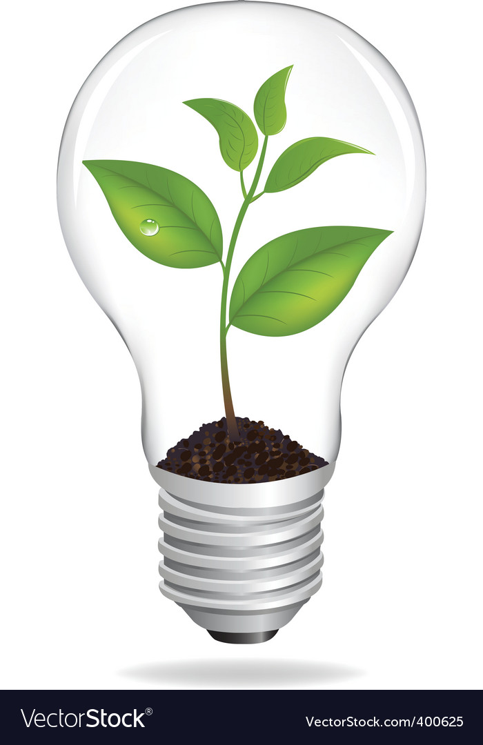 Eco light bulb Royalty Free Vector Image - VectorStock