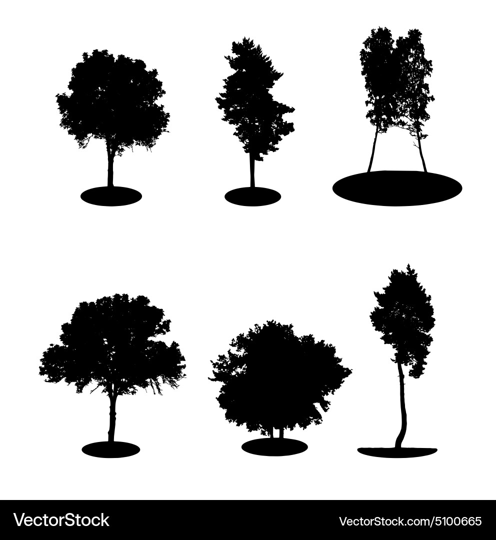 Set of tree silhouette isolated on white Vector Image