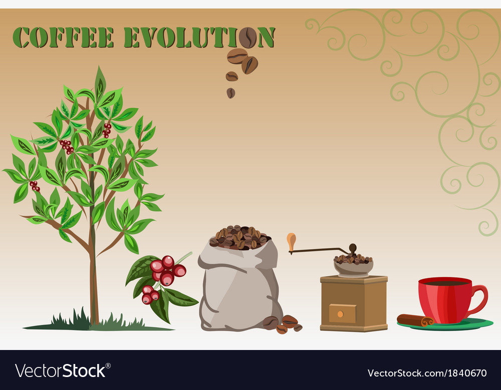 Coffee evolution Royalty Free Vector Image VectorStock