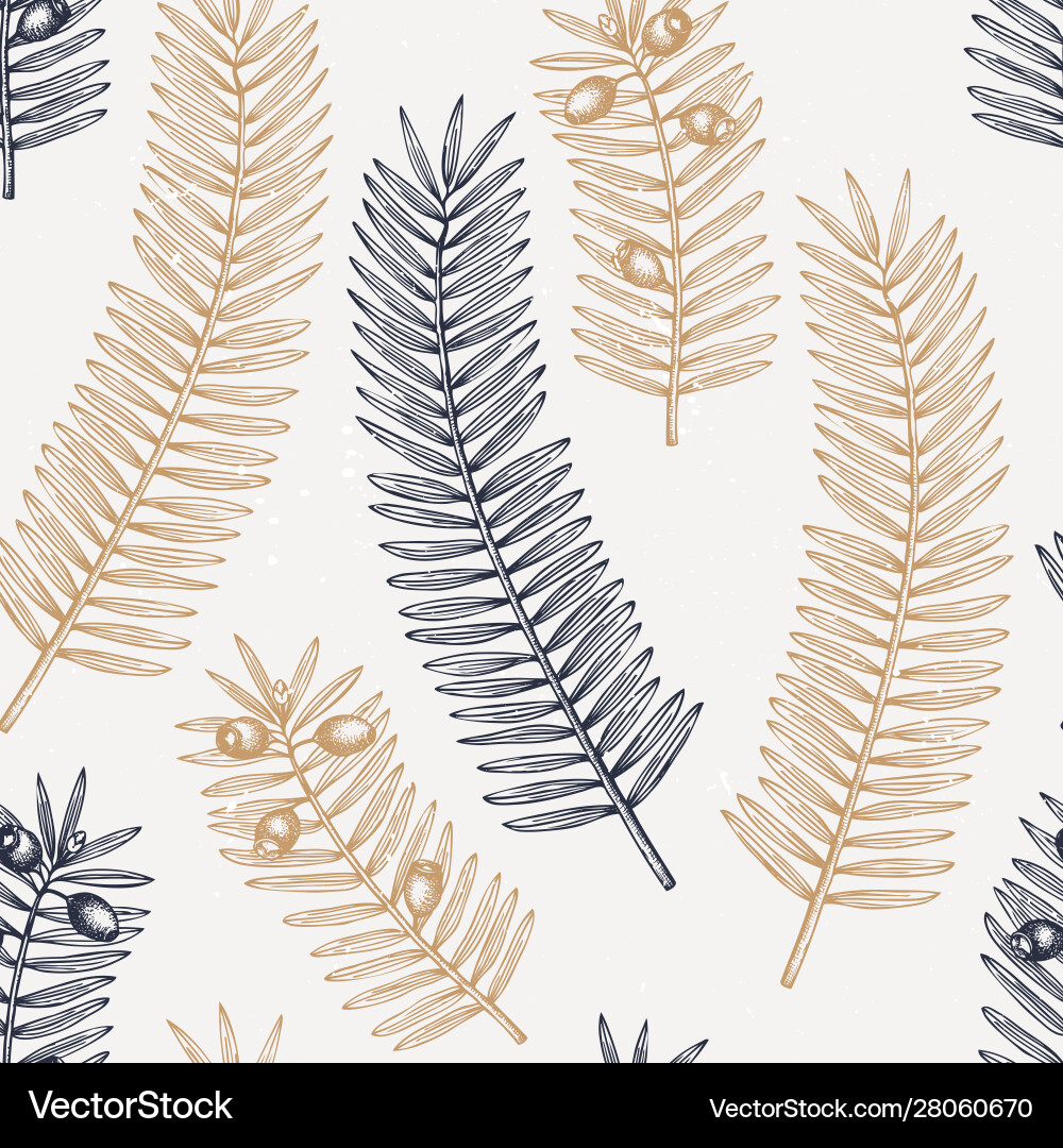 European yew background evergreen tree botanical Vector Image