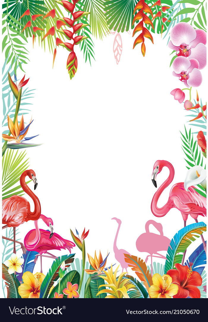 Frame from tropical flowers and flamingoes Vector Image