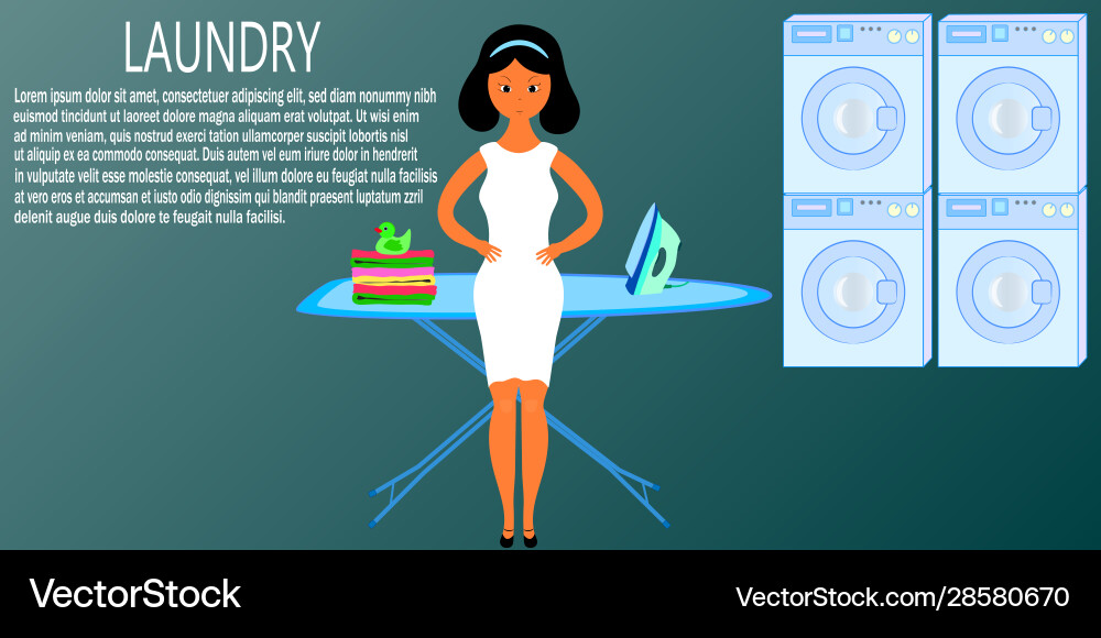 Banner Laundry Flyer Vector Images 87