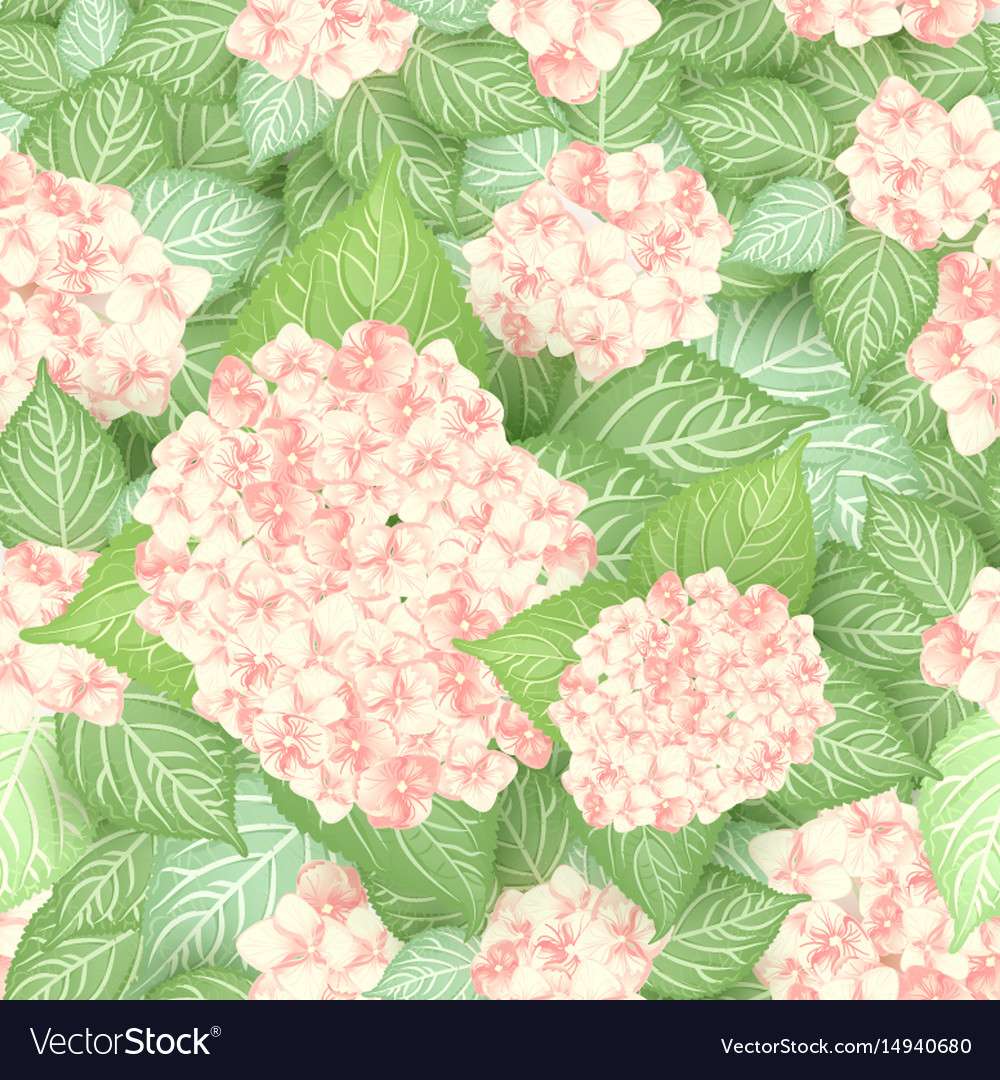 Seamless Hydrangea Flower Pattern Royalty Free Vector Image