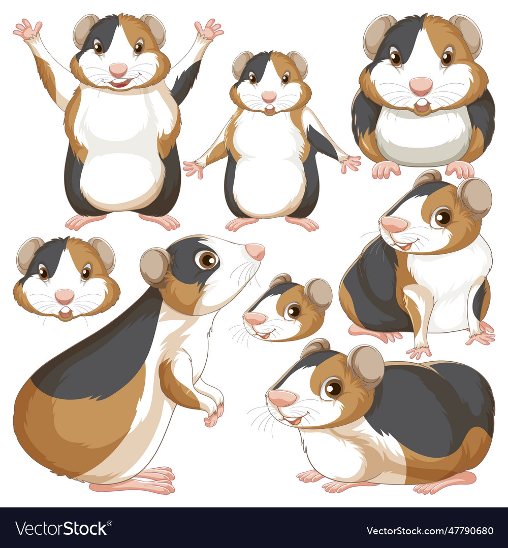 Set of guinea pig cartoon character with head Vector Image