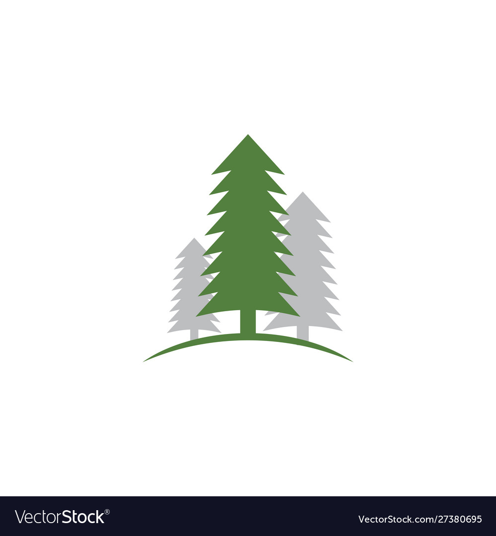 Cedar tree graphic design template isolated Vector Image