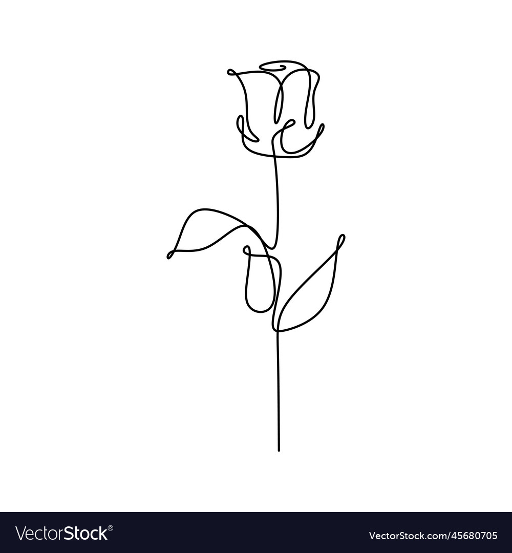 Continuous line drawing of a rose Royalty Free Vector Image