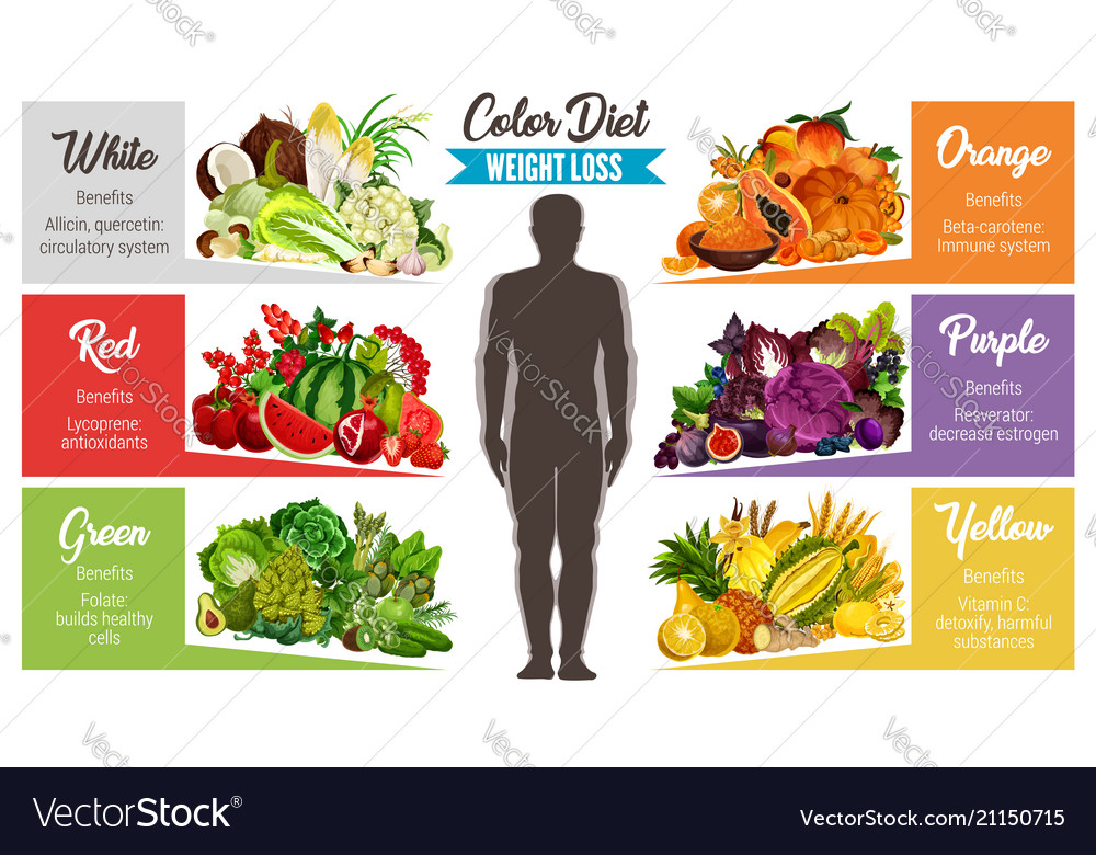 Color Diet Healthy Food Banner For Weight Loss