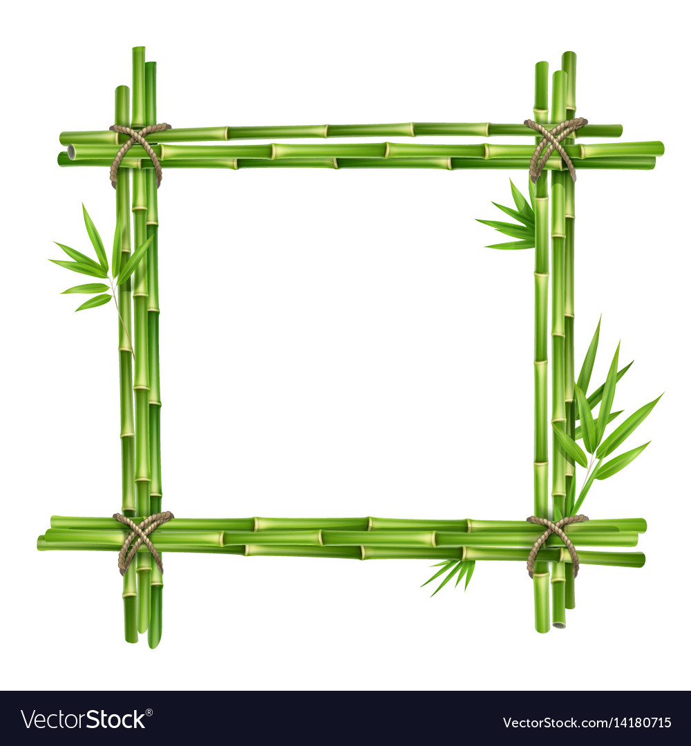 Frame from bamboo stems Royalty Free Vector Image