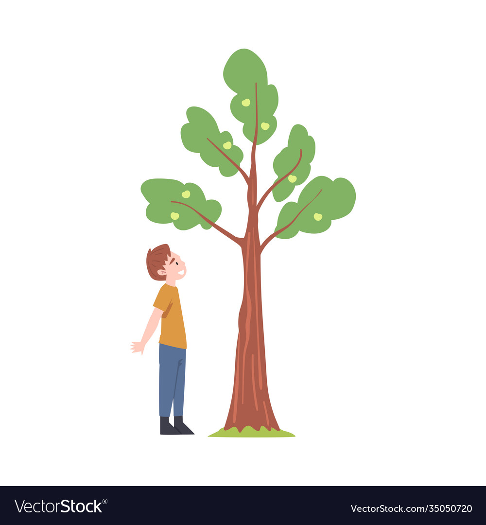 Little boy standing near fruit tree and watching Vector Image