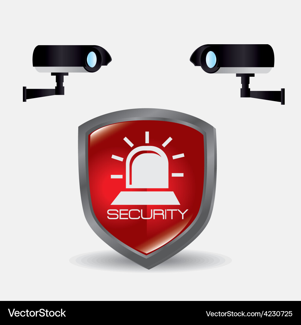 Security system design Royalty Free Vector Image