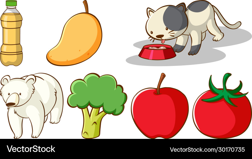 Large set different animals and other objects Vector Image