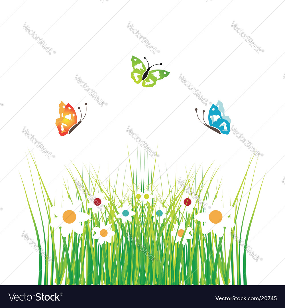 Butterflies Royalty Free Vector Image - VectorStock