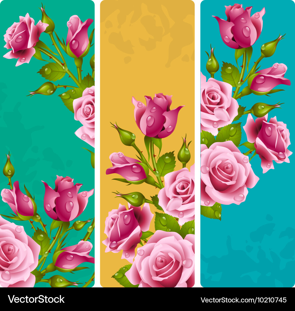 Pink rose frames set Royalty Free Vector Image