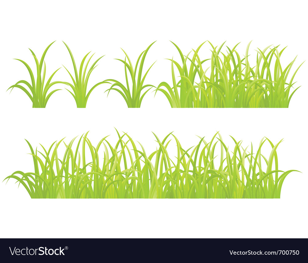 Grass Elements Royalty Free Vector Image Vectorstock