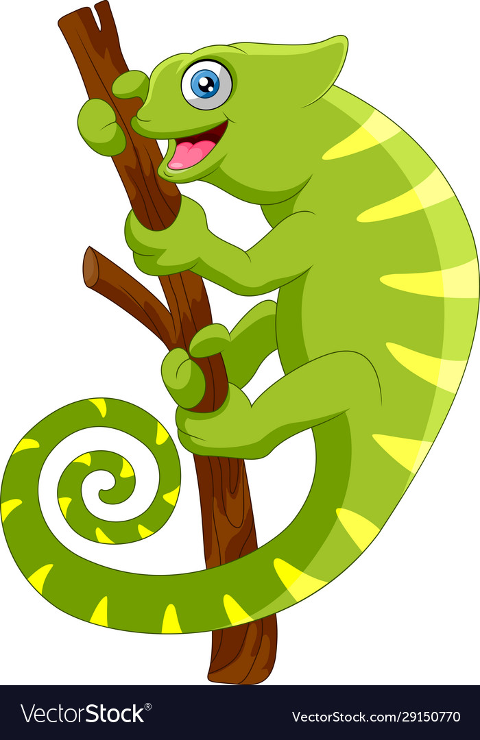 Cartoon chameleon on a branch Royalty Free Vector Image