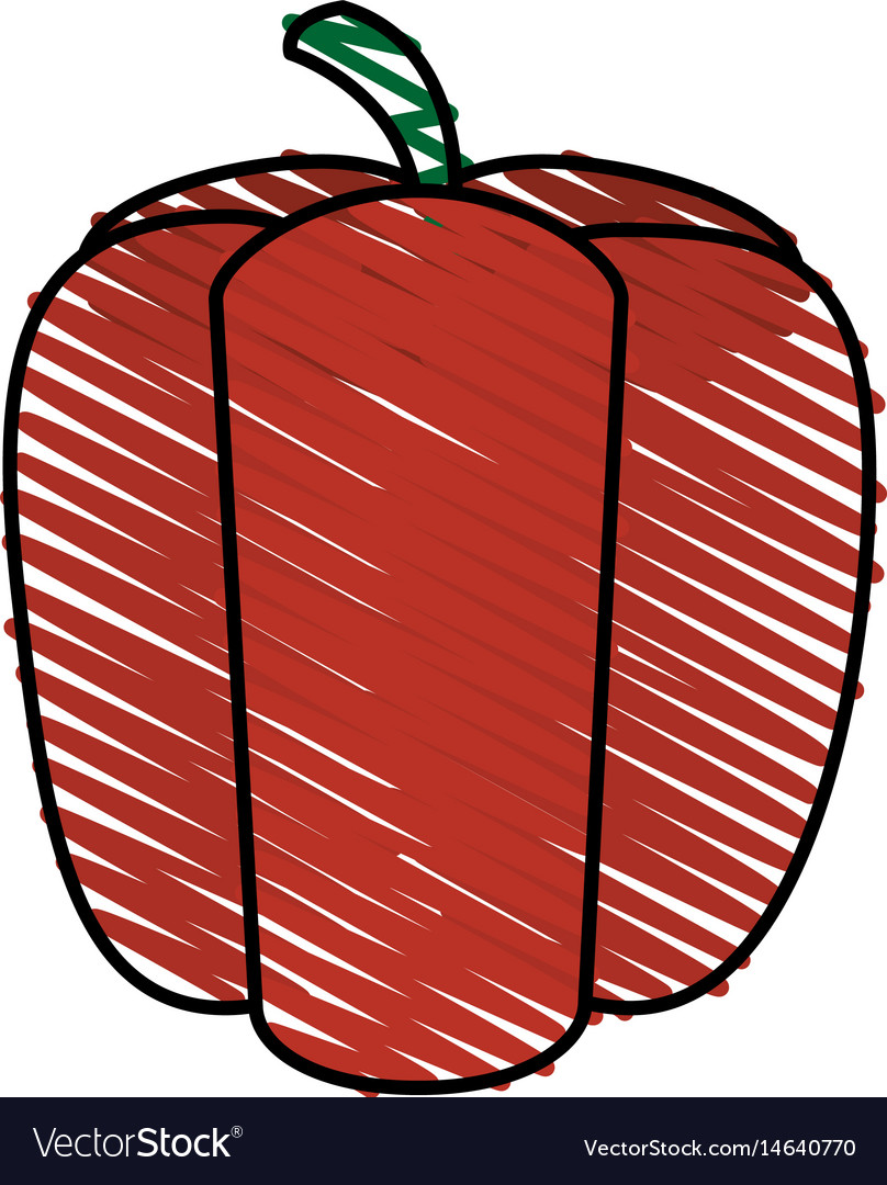 Color Crayon Stripe Red Pepper Vegetable Food Vector Image