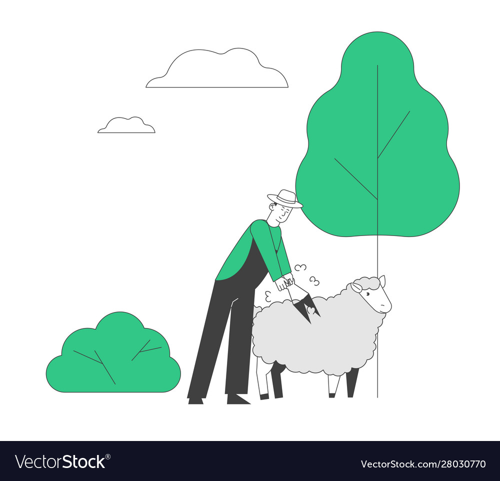 Farmer shearing sheep for wool in barn Royalty Free Vector