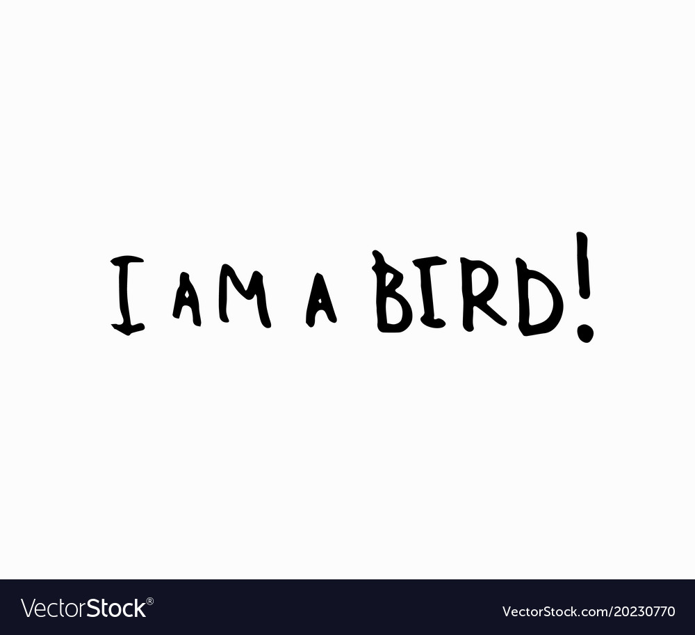 why am ia bird