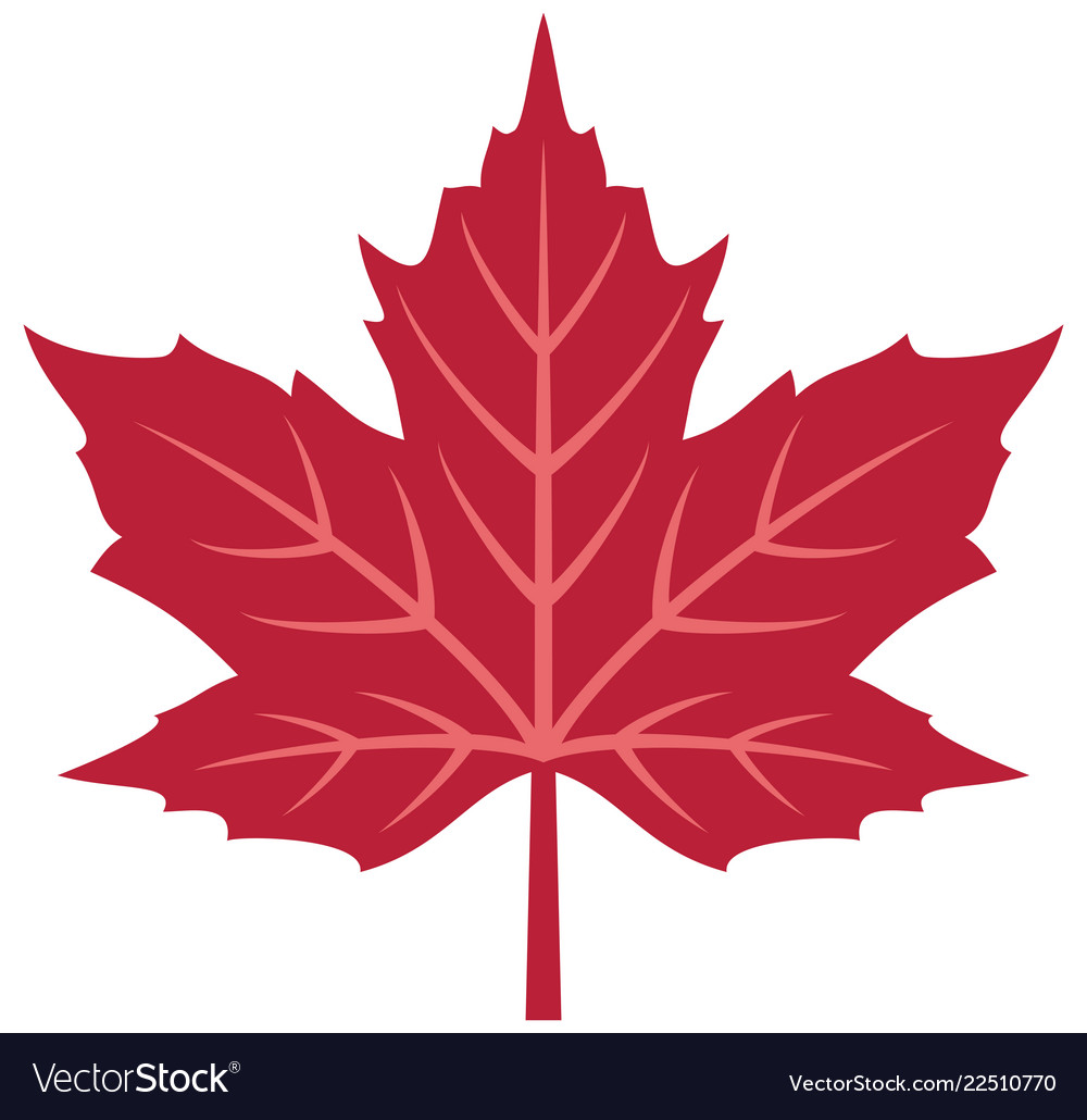 maple leaf