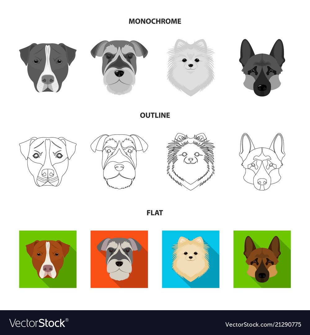 Muzzle of different breeds dogsdog breed Vector Image